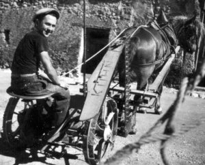 Zizi sur la faucheuse à cheval