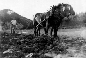 Historique de la ferme