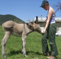 marie-claire avec un ane