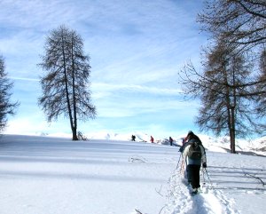 La Neige et le Ski