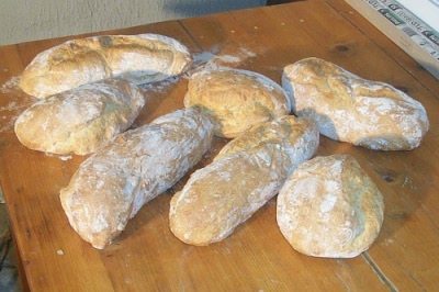 les premiers pains