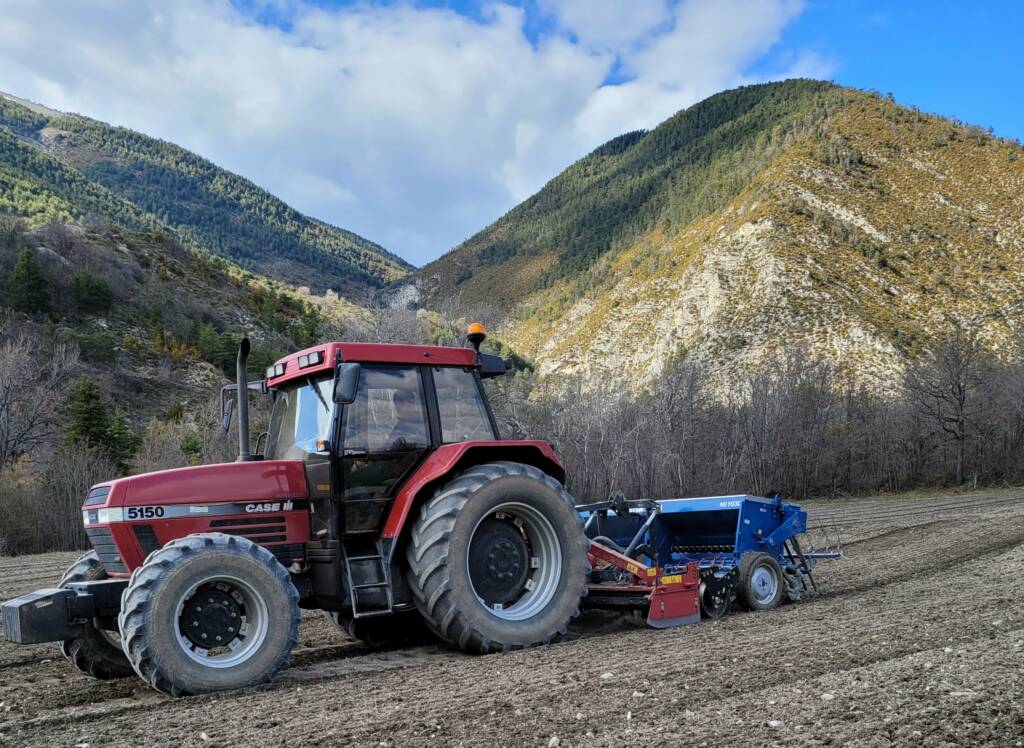 Semis de printemps