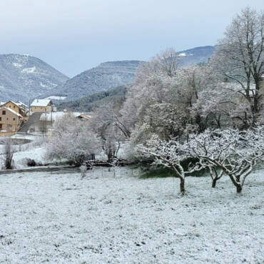 Neige d’Avril